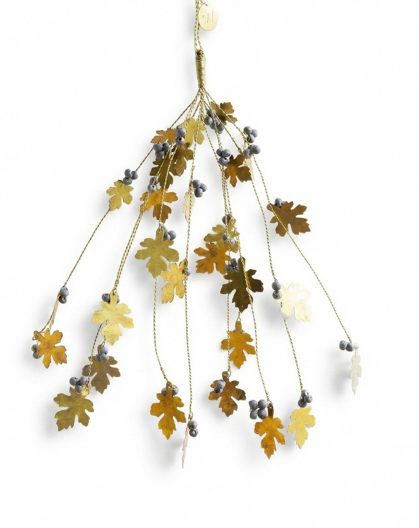 Bunch Oak And Berries