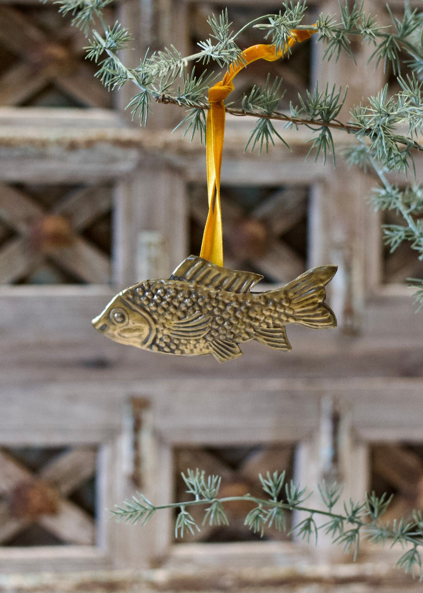 Koi-vissen