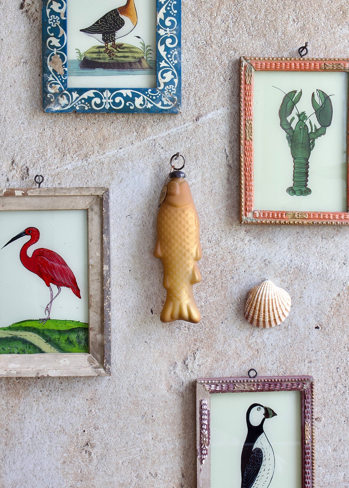 Decorative wall with framed illustrations of a bird, fish, and other animals, along with a shell.
