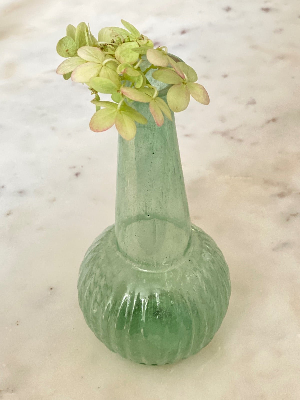 Vase vert