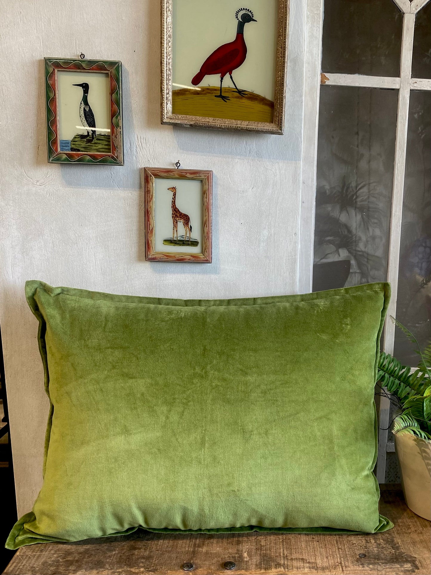Cotton velvet solid dyed cushion  BHAT027