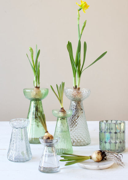 Hyacint vaas groen glas
