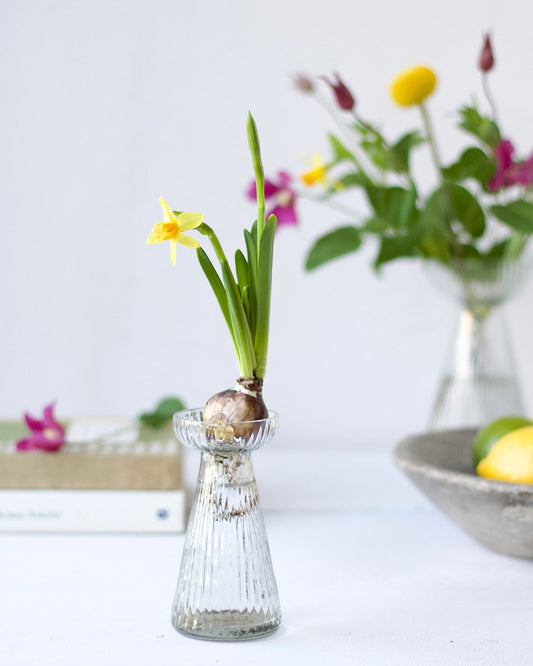 Small glass vase with a growing plant on a white surface with blurred flowers in the background