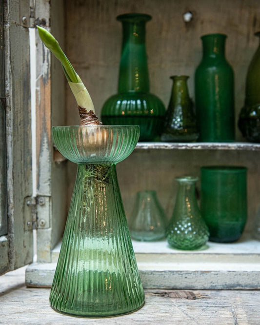 Hyacint vaas groen glas