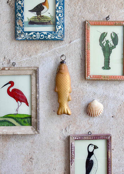 Decorative wall with framed illustrations of a bird, fish, and other animals, along with a shell.