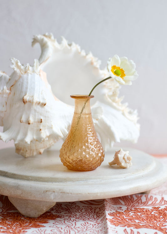 Decorative setting with seashells and a vase on a white surface.