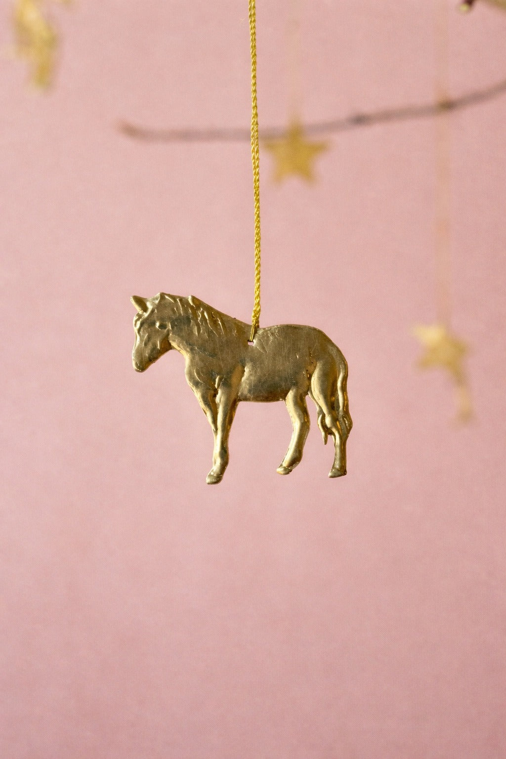 Paardentag NAW541