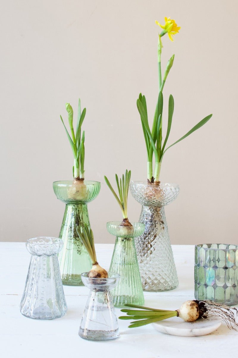 Hyacinth vase transparent glass