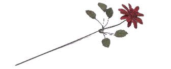 Metal Flower Coral Bloom