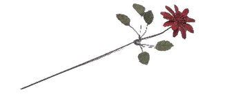 Metal Flower Coral Bloom