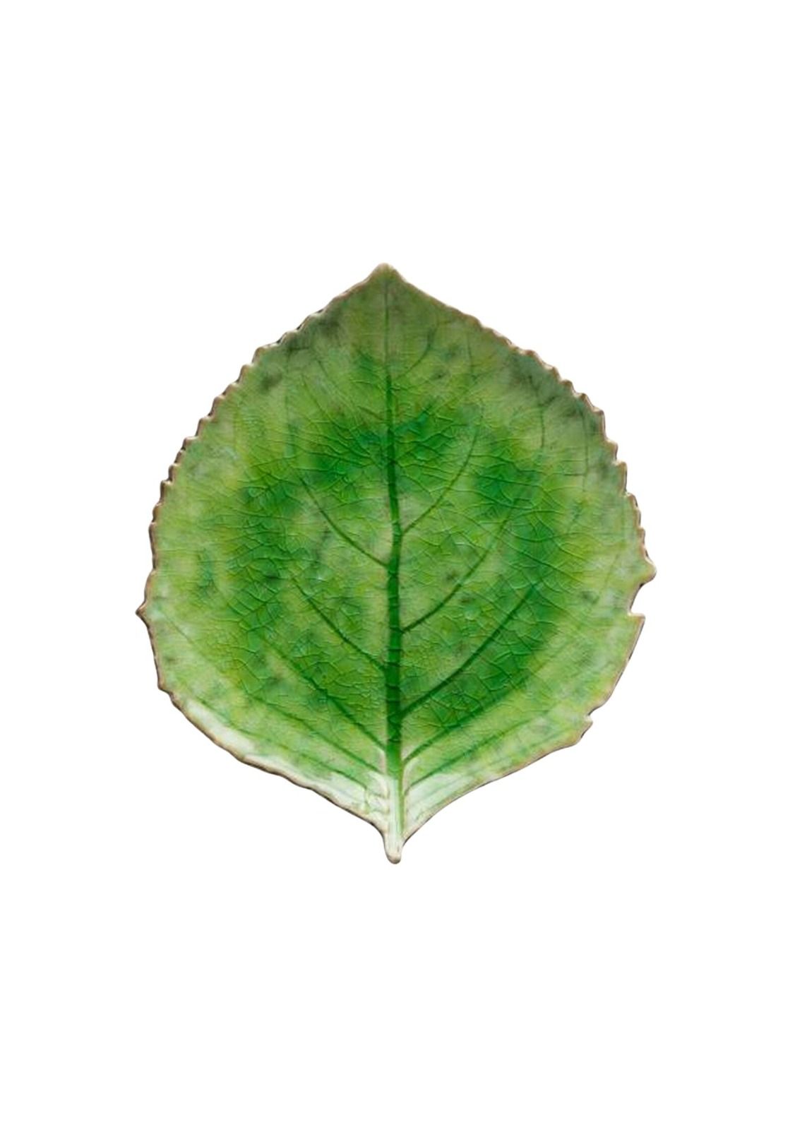 Hydrangea plate 